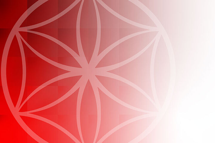 Abstract flower artwork.
